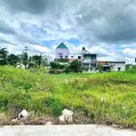 Bán đất thổ cư 150m² hẻm Đặng Văn Truyện, Tân An, Long An - Ảnh thu nhỏ 2
