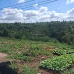 Bán đất Lộc Châu Bảo Lộc 2 lô mặt tiền Lê Thị Riêng, view thung lũng, đất ở sẵn - Ảnh thu nhỏ 14
