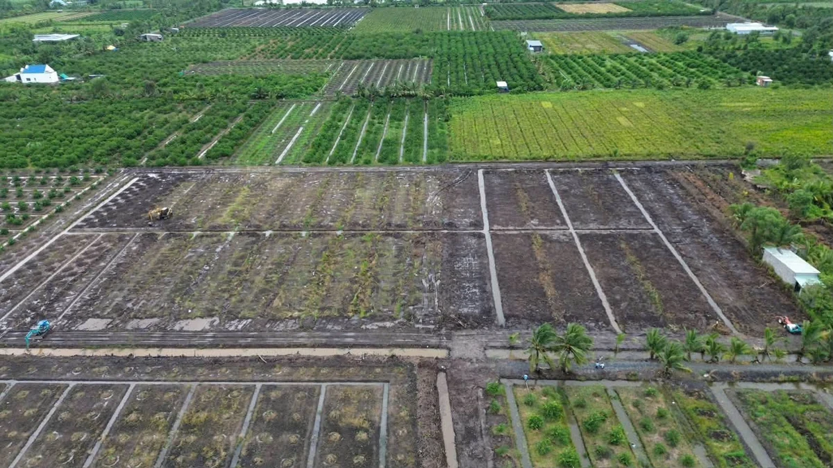 Bán đất vườn 500m² Tân Thành, Thủ Thừa, Long An - Ảnh thu nhỏ 3