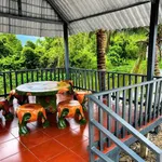 Bán nhà vườn view sông 746m2 mặt tiền đường bê tông tại xã Bình Đức, Bến Lức - Ảnh thu nhỏ 5
