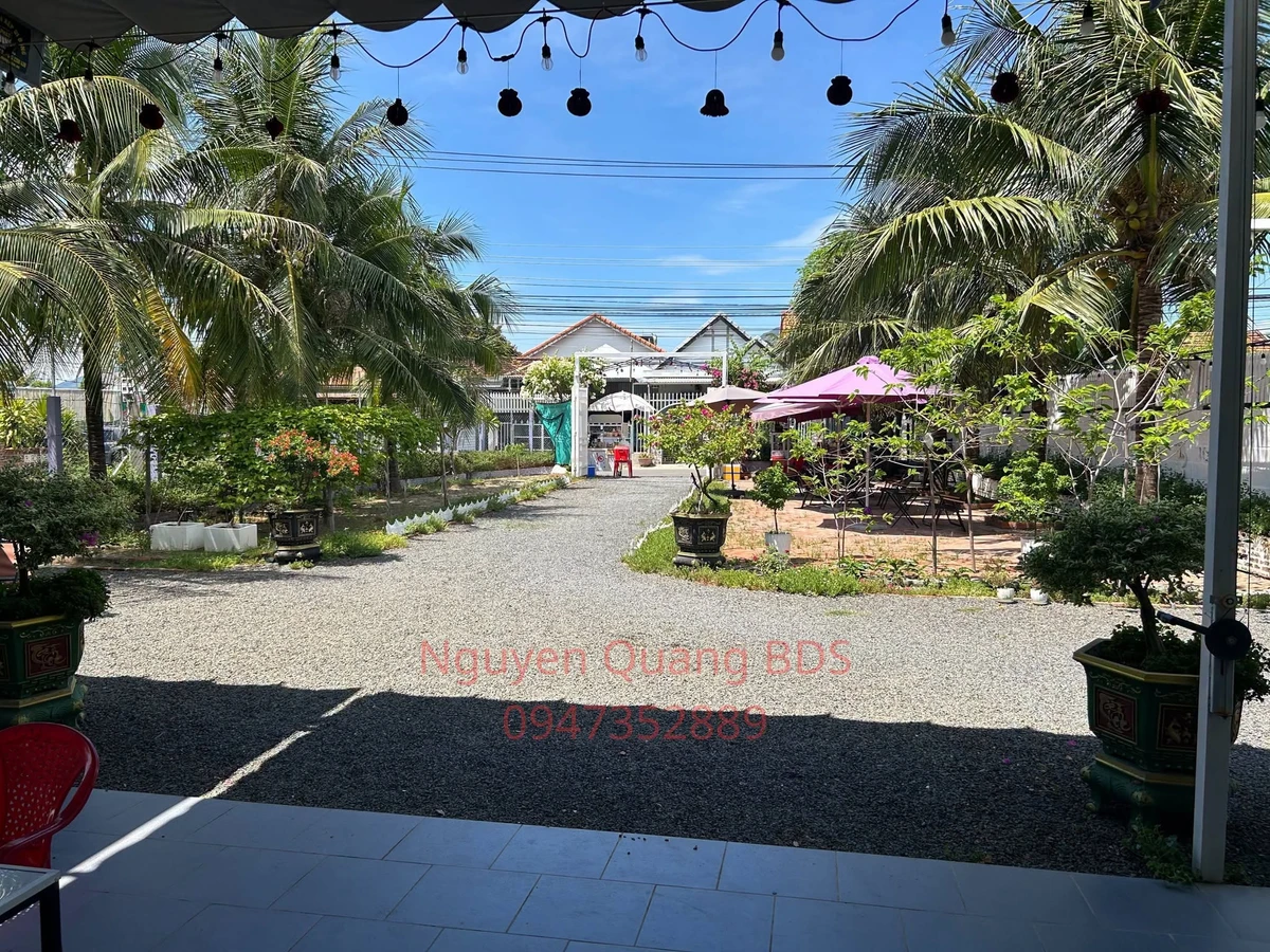 Nhượng Homestay 1426m2 mặt tiền Dốc Lết 22,2 tỷ - Ảnh thu nhỏ 3