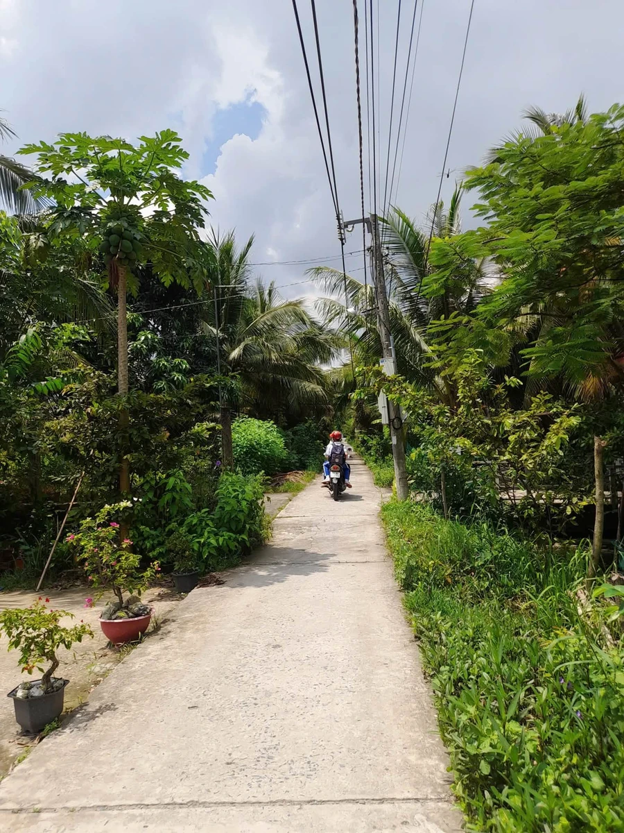 Bán đất biệt thự Phú Tân 786m² Bình Chánh 2,1 tỷ - Ảnh thu nhỏ 2