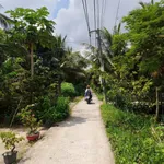 Bán đất biệt thự Phú Tân 786m² Bình Chánh 2,1 tỷ - Ảnh thu nhỏ 2