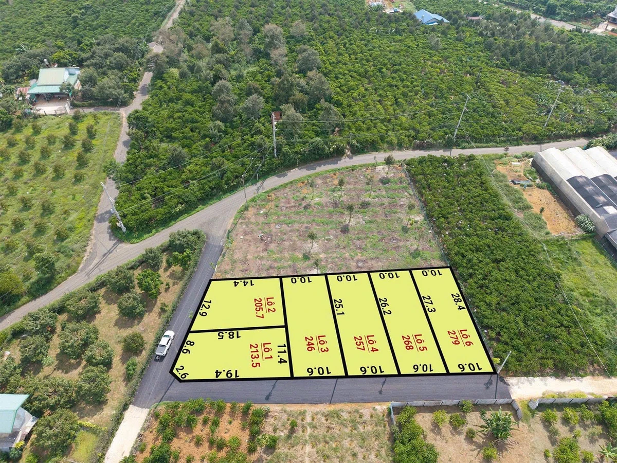 Bán đất 270m2 có 200m2 thổ cư mặt tiền đường nhựa giá 1,25 tỷ tại Bảo Lộc, Lâm Đồng - Ảnh 1