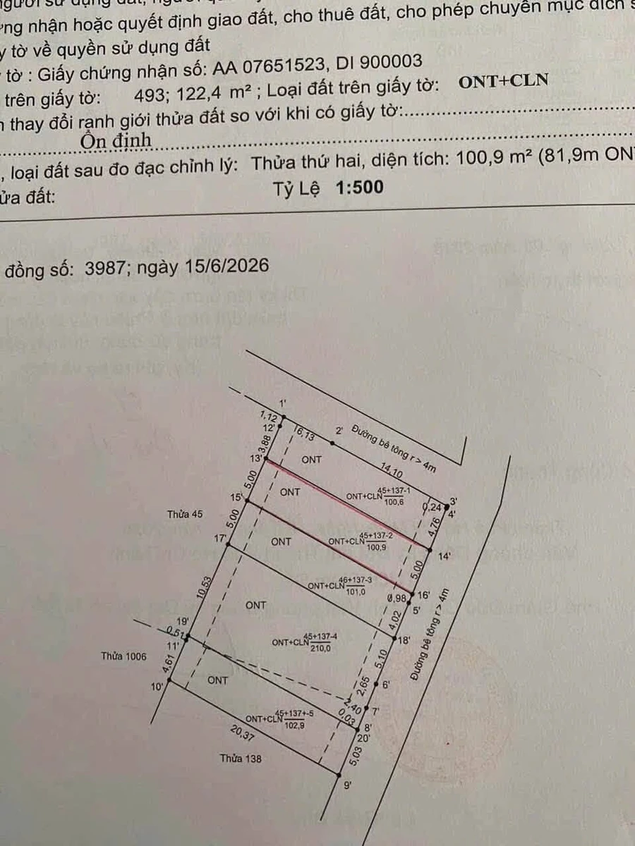 Bán đất góc 2 mặt tiền Bạch Đằng Cần Giờ 100m² - Ảnh 1