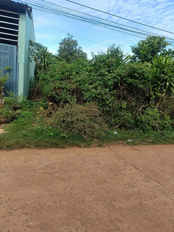 Bán đất 50m² hẻm Nguyễn Chí Thanh, Pleiku, Gia Lai