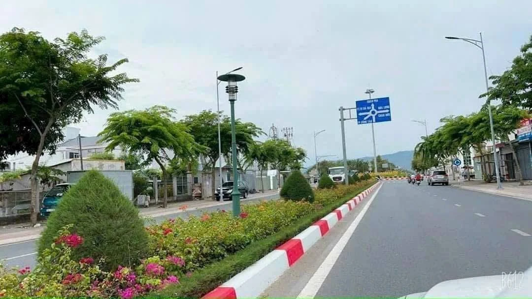 Bán nhà mặt tiền kinh doanh 156m² Võ Thị Sáu, Long Tâm - Ảnh 1