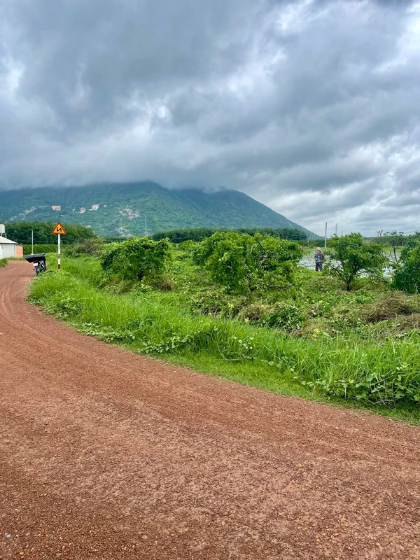 Bán đất vườn mãng cầu 1000m2 view Núi Bà Dương Minh Châu 550tr
