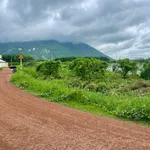 Bán đất vườn mãng cầu 1000m2 view Núi Bà Dương Minh Châu 550tr - Ảnh thu nhỏ 1