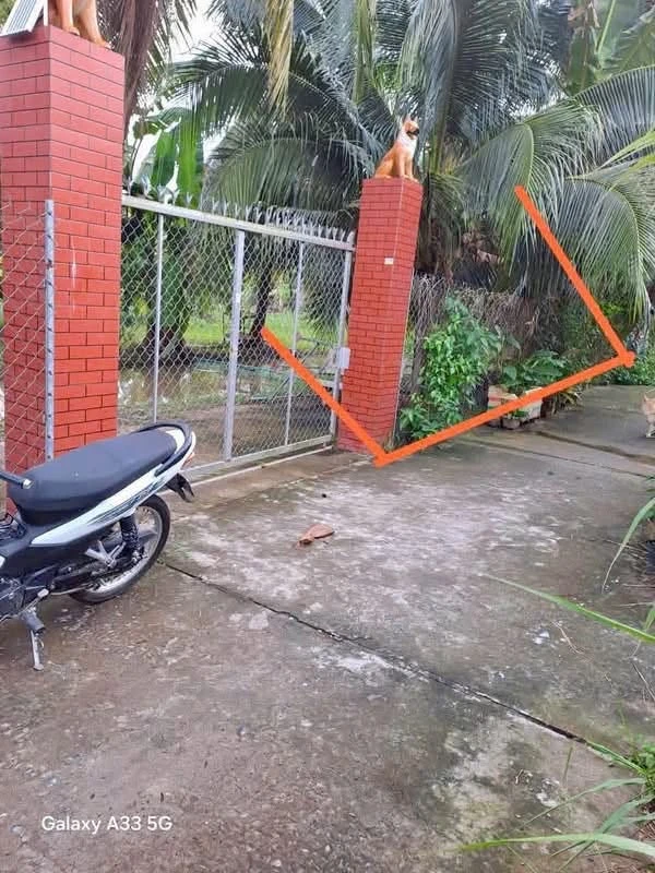 Bán nền biệt thự Phú Hưng Bến Tre 593m² giá 780 triệu - Ảnh thu nhỏ 2