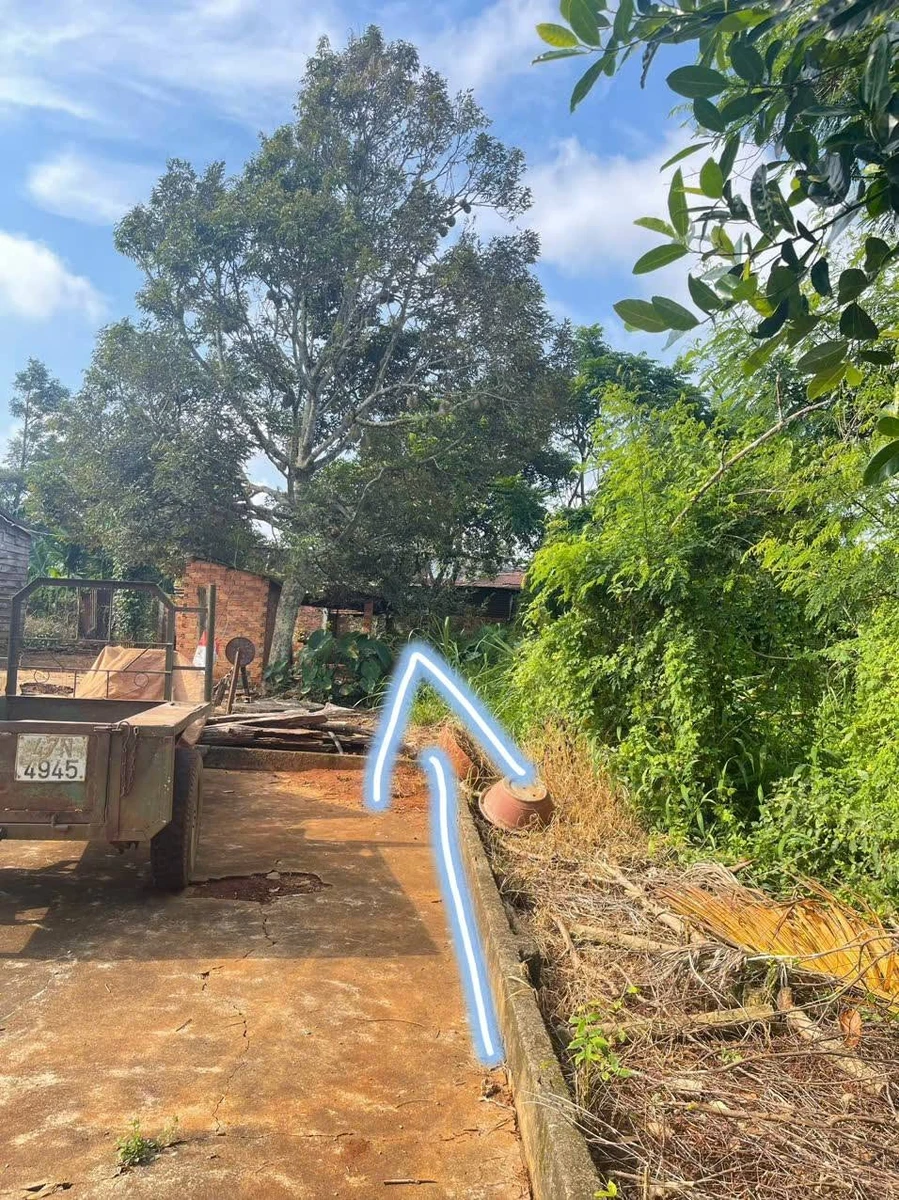 Bán đất mặt tiền 50m² Tân An, Bình Tân, 1,5 tỷ - Ảnh thu nhỏ 3
