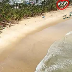 Bán đất 225m2 mặt biển Vịnh Hòa, Phú Yên - Ảnh thu nhỏ 1