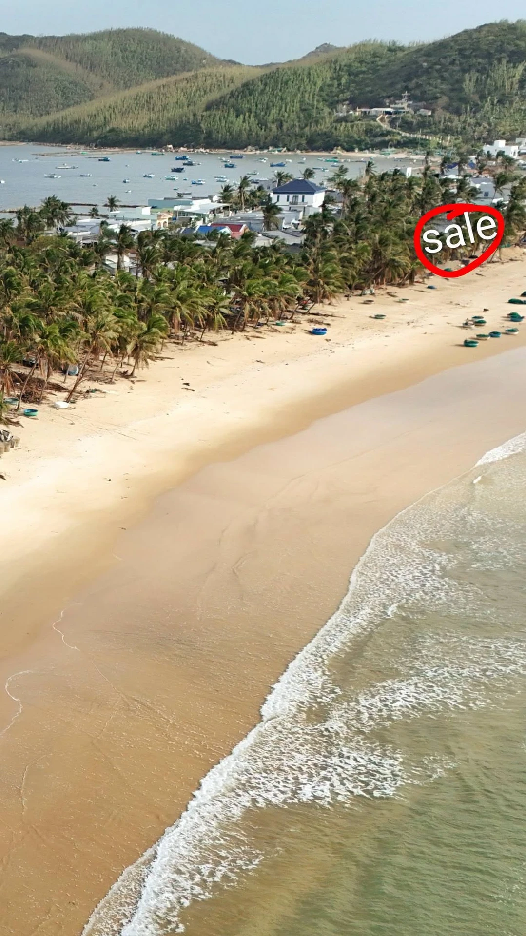 Bán đất 225m2 mặt biển Vịnh Hòa, Phú Yên - Ảnh 1