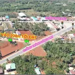 Bán đất mặt tiền đường nhựa 5x30m gần ngã 4 đèn đỏ Đường Tránh Đông, Phường Ea Kao, Đắk Lắk - Ảnh thu nhỏ 2