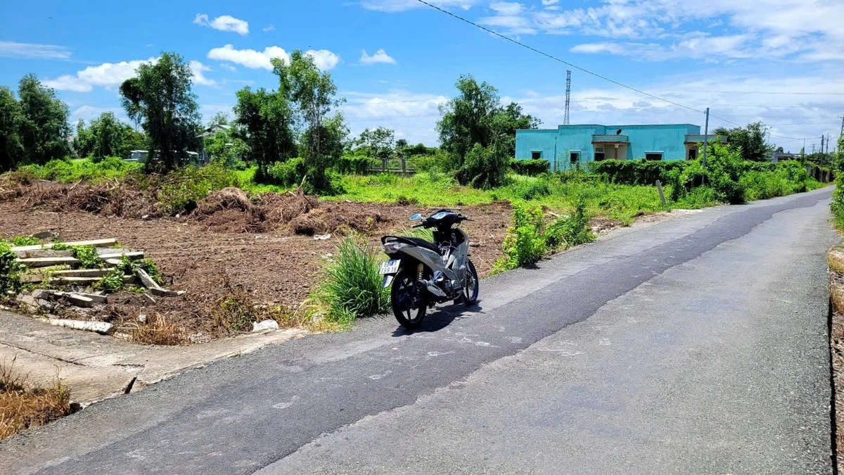 Bán đất lúa mặt tiền 1151m² An Lục, Châu Thành, Long An - Ảnh 1