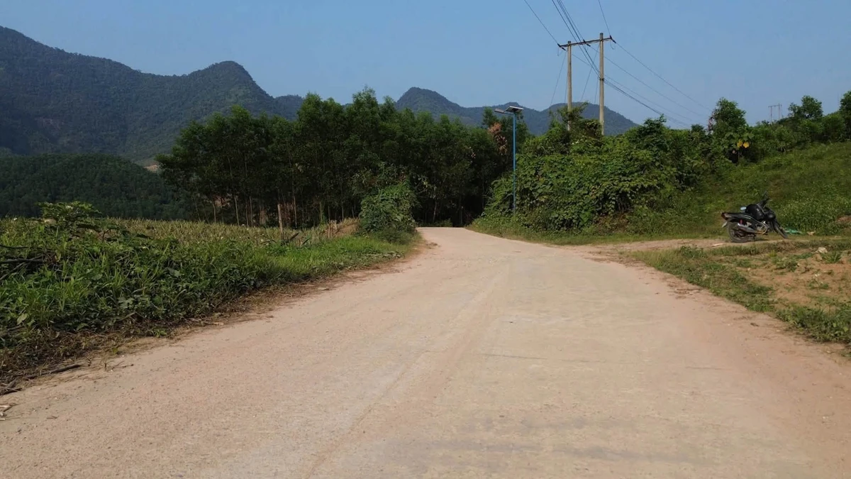Bán 7.5 hecta đất rừng sản xuất view sông, Đà Nẵng - Ảnh thu nhỏ 3