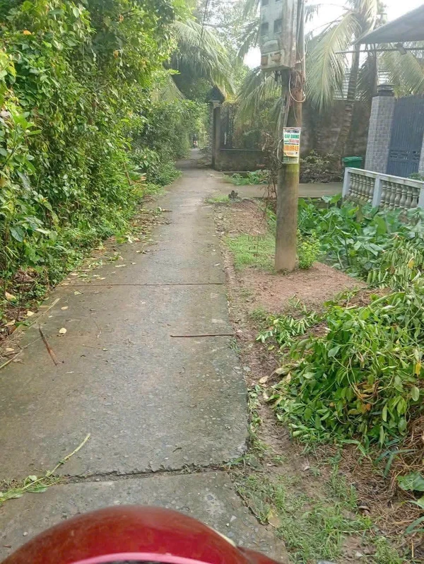 Bán nhà gỗ 107m2 Phú An Hoà Bến Tre