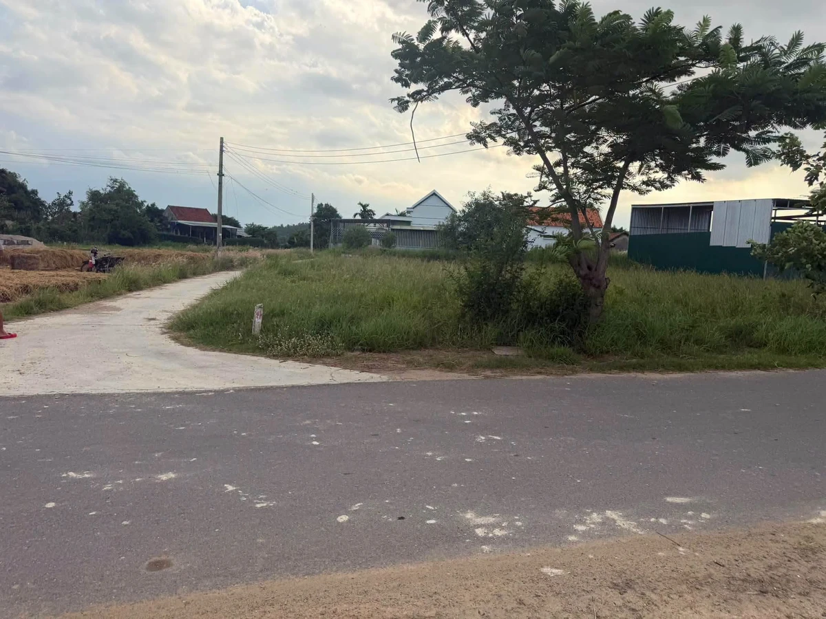 Bán đất 2 mặt tiền 156m2 Ninh Hoà, Khánh Hoà - Ảnh thu nhỏ 3