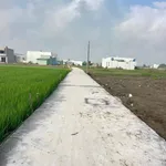 Bán lô đất 115m² Phước Vân, Cần Đước, Long An 770 triệu - Ảnh thu nhỏ 3