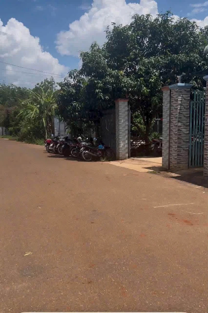 Bán đất 1000m2 Long Phước 3 tỷ 550 triệu - Ảnh thu nhỏ 3