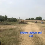Bán 5772m² đất Củ Chi gần Vành Đai 4, 20 tỷ - Ảnh thu nhỏ 5