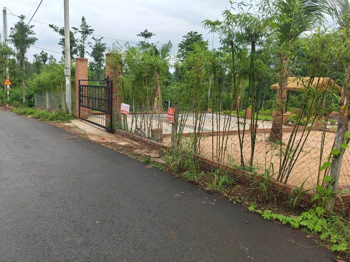 Bán nhà vườn view đẹp 555m² Bàu Chính Nhà Bè - Ảnh thu nhỏ 4