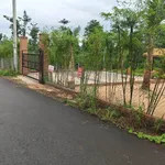 Bán nhà vườn view đẹp 555m² Bàu Chính Nhà Bè - Ảnh thu nhỏ 4