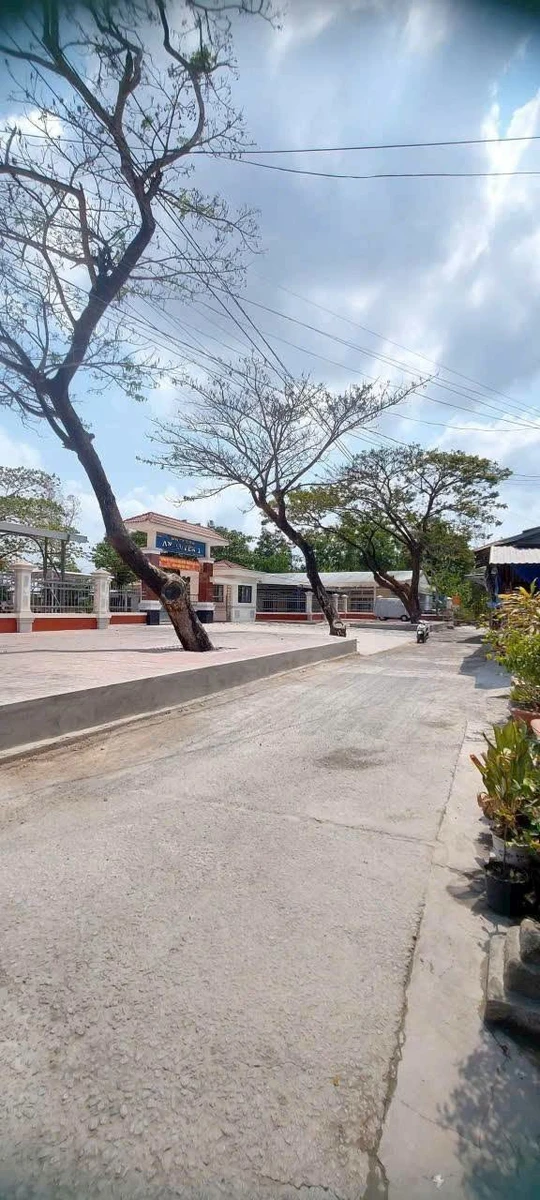 Bán đất thổ cư 75m2 An Xuyên Cà Mau, giá 340 triệu - Ảnh thu nhỏ 5