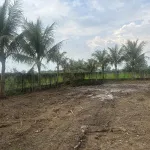 Bán đất tại Giồng Lớn, 7,5 triệu / m2, thổ cư 100%, view đẹp. - Ảnh thu nhỏ 6