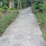 Bán đất vườn dừa 4600m² Phú Nhuận Bến Tre 950tr/công - Ảnh thu nhỏ 1