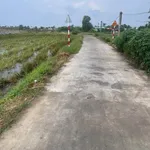 Bán đất 990m2 Bến Lức, Long An - 2 tỷ 700 triệu - Ảnh thu nhỏ 2