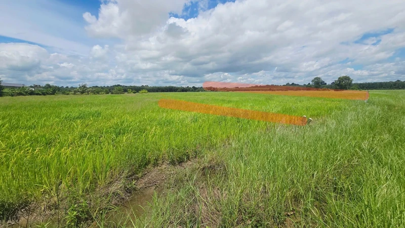 Bán gấp lô đất lúa 10x100m giá 570 triệu tại Phước Ninh, Dương Minh Châu, Tây Ninh