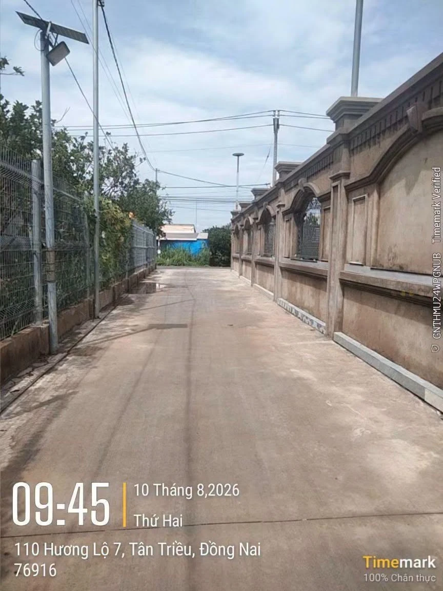 Bán đất nền sổ hồng 87.5m² Tân Bình, Đồng Nai 1 tỷ 480 - Ảnh thu nhỏ 3