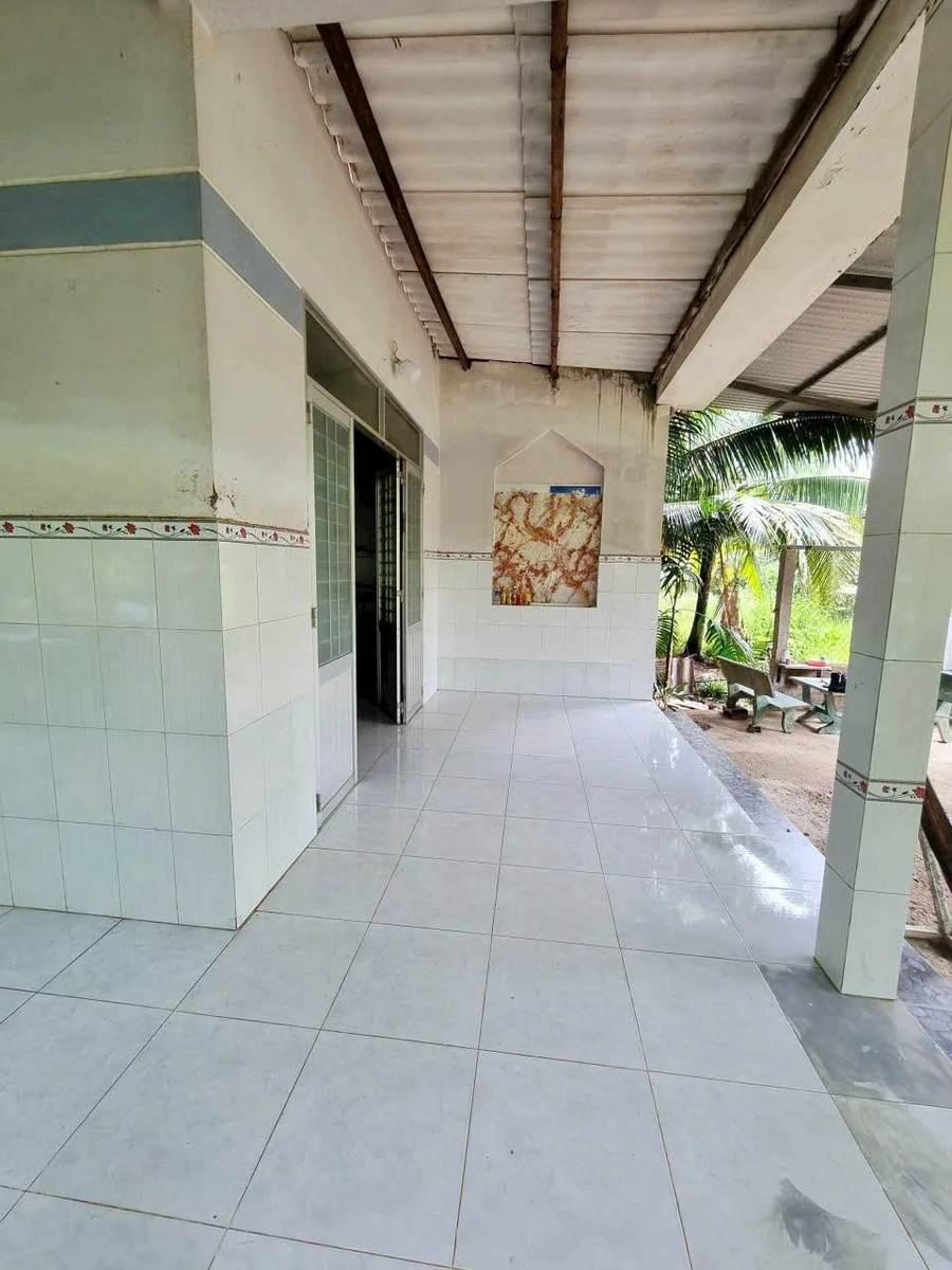 Bán đất Phước Thạnh 340m² Phú Tân 900 triệu - Ảnh thu nhỏ 4