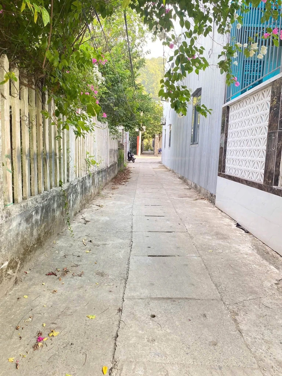 Bán đất kiệt ô tô Âu Cơ 139m2, 1 tỷ - Ảnh thu nhỏ 3