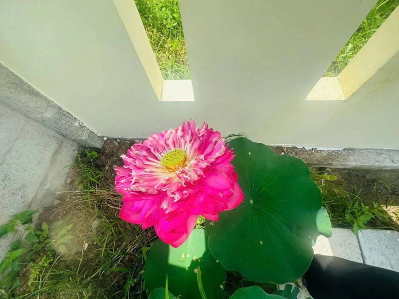 Bán nhà vườn 1800m² gần Phan Thiết 2 tỷ 2