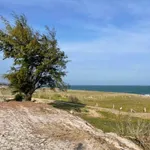 Bán đất mặt biển Hoà Thắng Mũi Né 500m2 giá 3 tỷ - Ảnh thu nhỏ 1