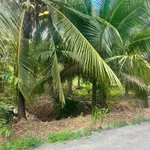 Bán đất vườn 6075m² mặt tiền Bến Tre - Ảnh thu nhỏ 2