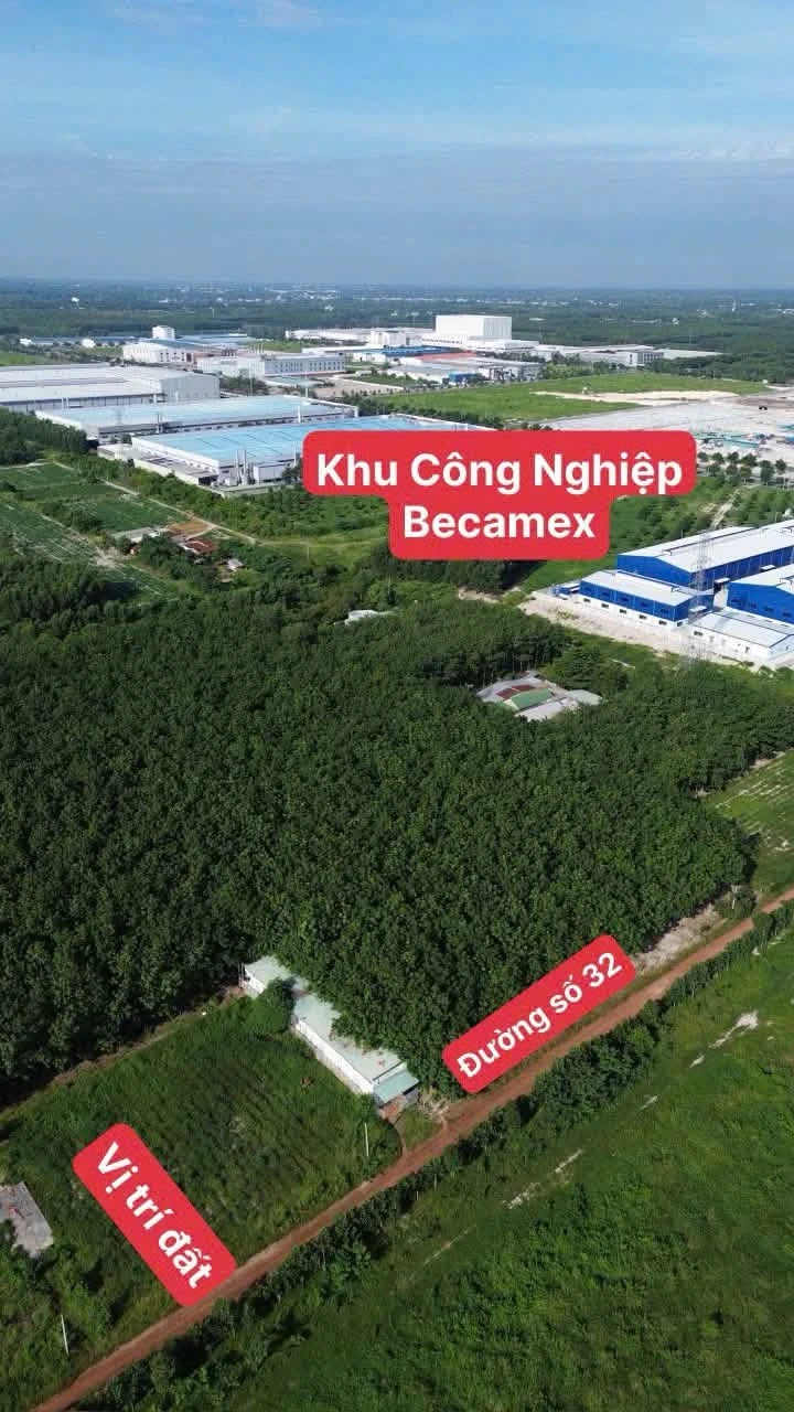 Bán 2 lô đất 250m² xây trọ Chơn Thành Bình Dương - Ảnh 1