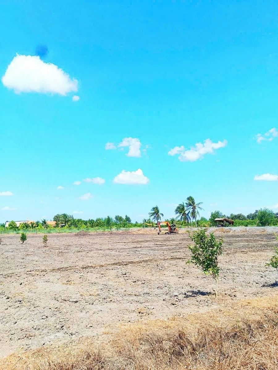 Lô góc 1000m² (500m² thổ cư + 500m² vườn) giá 1 tỷ 450 triệu, Bến Lức, Long An - Ảnh thu nhỏ 3