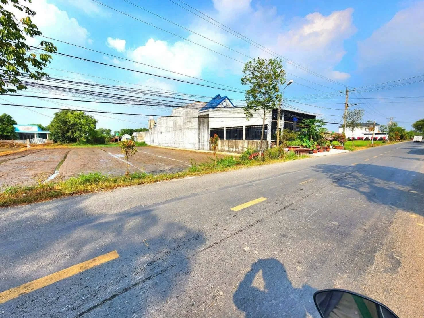 Bán đất thổ cư 10x29 (290m2) sổ hồng riêng, đường nhựa Giồng Lớn, Mỹ Hạnh - Ảnh 1