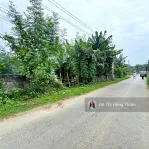Chủ cần bán 1290m² tại Thanh Sơn, bám trục đường nhựa liên xã làm nghỉ dưỡng giá rẻ chỉ 3,7tr/m² - Ảnh thu nhỏ 9