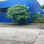 Bán đất Vườn ổi Thuỷ Nguyên 133m2 giá 3 tỷ - Ảnh thu nhỏ 1