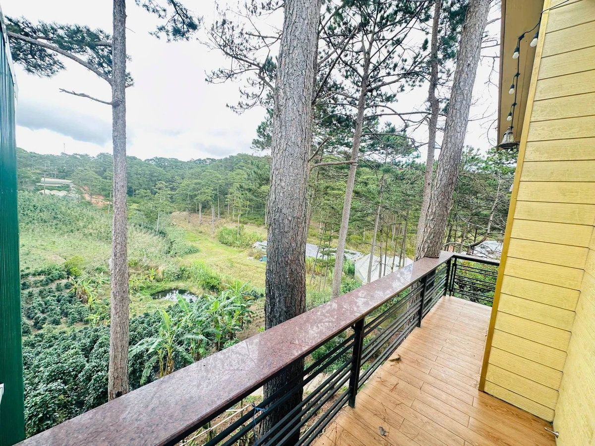 Bán đất 1750 m² tặng 2 căn nhà Khu Măng Lin Đà Lạt - Ảnh thu nhỏ 4