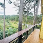 Bán đất 1750 m² tặng 2 căn nhà Khu Măng Lin Đà Lạt - Ảnh thu nhỏ 4