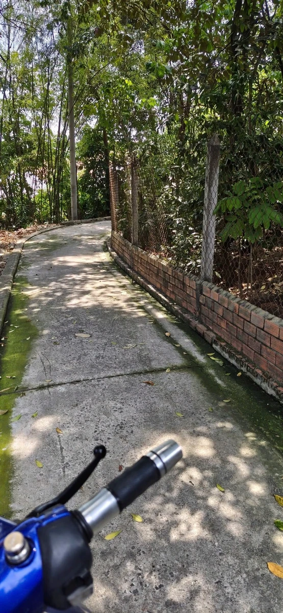 Bán đất Chánh Mỹ 432m2 giá 3 tỷ - Ảnh 1