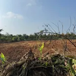 Bán đất 3000m2 tại Cẩm Mỹ, Đồng Nai, giá 4.6 tỷ - Ảnh thu nhỏ 4