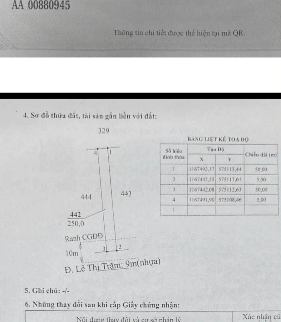 Bán đất mặt tiền Lê Thị Trâm 5x50m Long An 1 tỷ 6 - Ảnh thu nhỏ 3