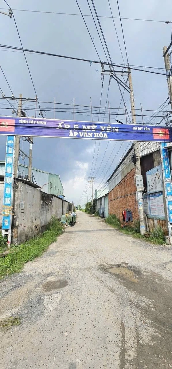 Bán đất thổ cư 5x30m tại Mỹ Yên, Bến Lức, Long An - Ảnh thu nhỏ 3