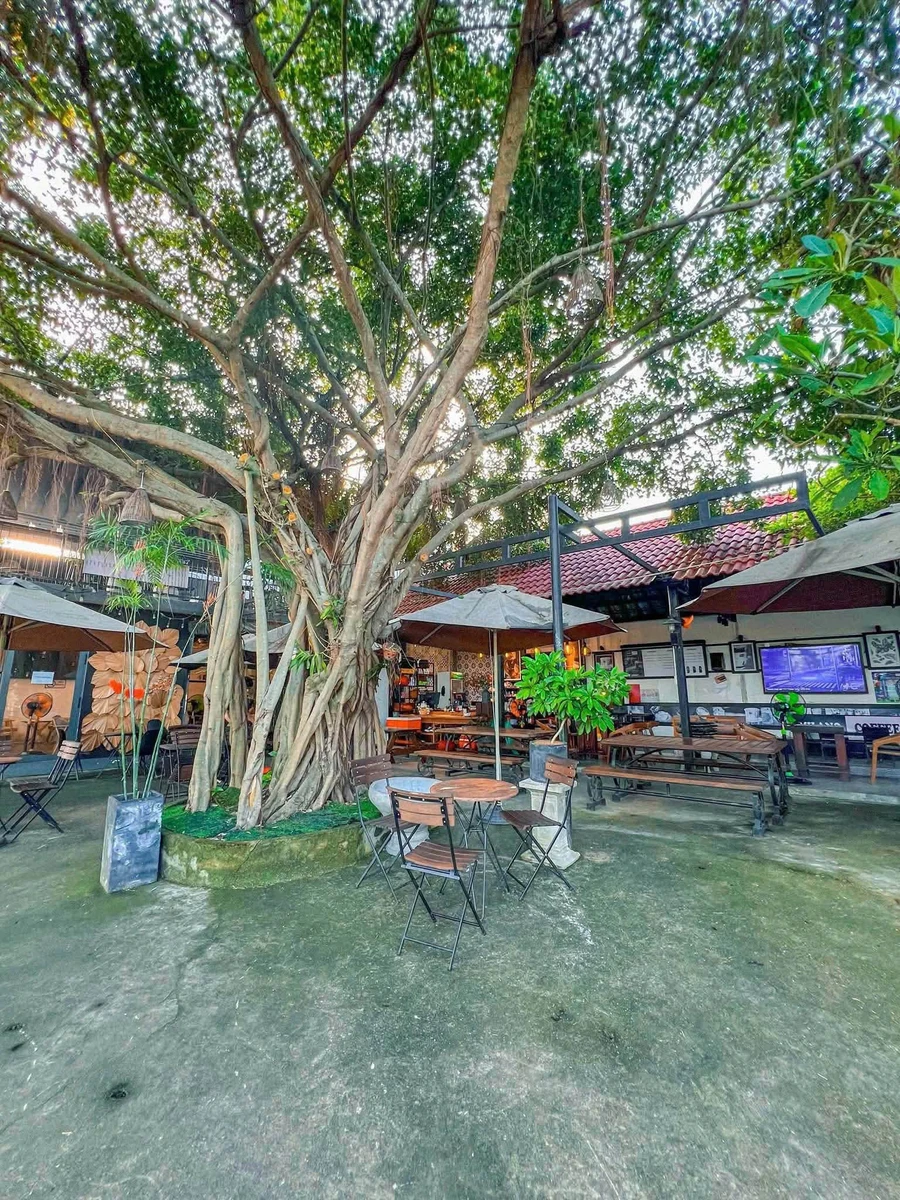 Bán đất 2 mặt tiền 300m² gần Hồ Xuân Hương, Khánh Hòa 4,5 tỷ - Ảnh thu nhỏ 2